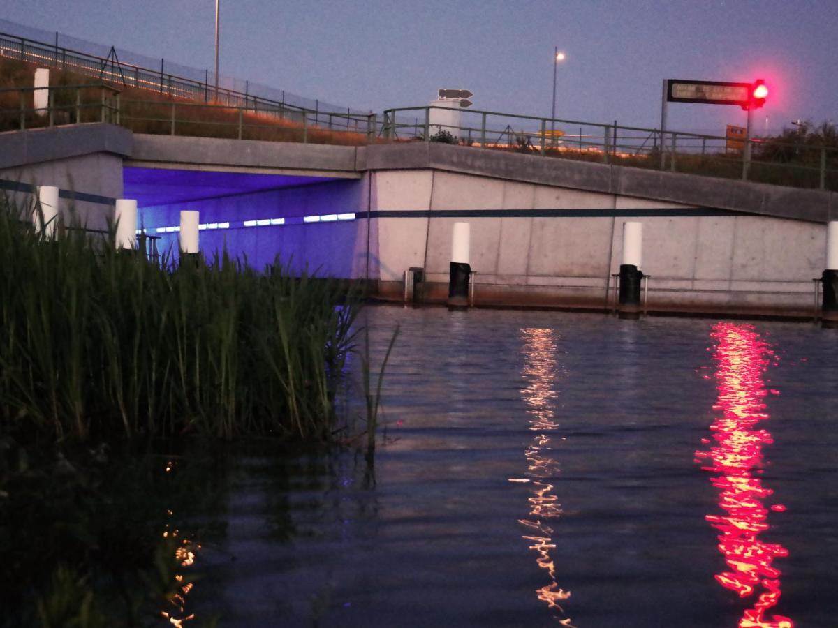 Ferienwohnung Seenland Grossraschen Bagian luar foto
