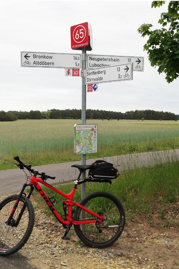 Ferienwohnung Seenland Grossraschen Bagian luar foto